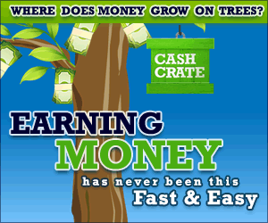 Make 10 dollars a day